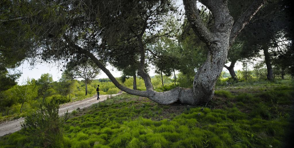 Dehesa de Campoamor  Villa In Spain At Las Colinas Golf & Country Club מראה חיצוני תמונה